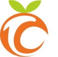 陕西甜橙网络技术有限公司