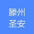 山东圣安保险销售服务有限公司滕州营业部